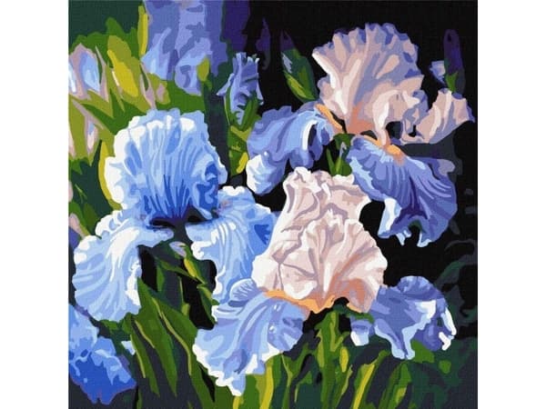 Maleri etter tall - Lyse iris 40x40cm