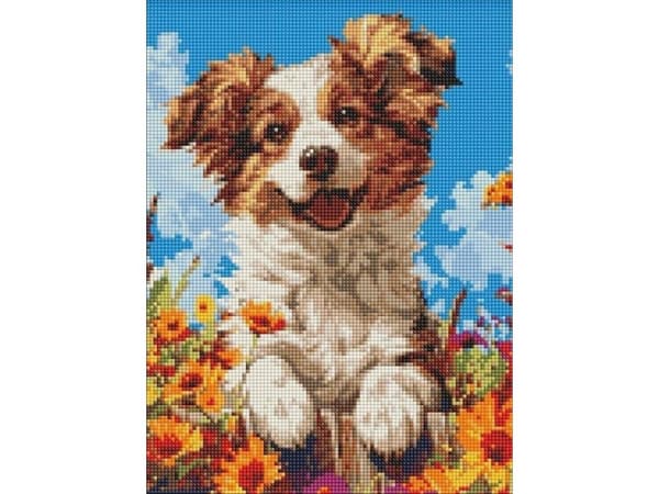 Diamantmosaikk uten ramme - Hund i blomster 30x40