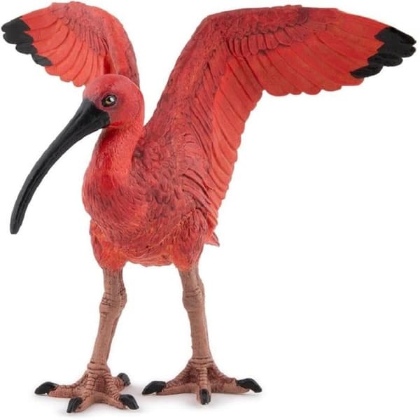 50314 - Röd ibis -