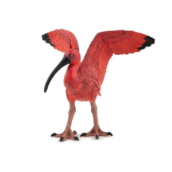 50314 - Röd ibis -