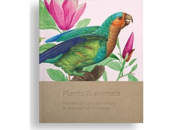 Plants and animals EDUKAMP