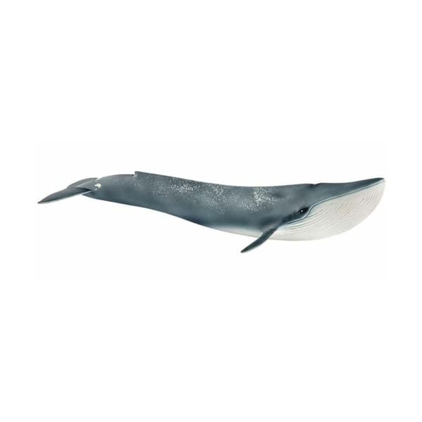 Blåvalsfigur - SCHLEICH - Modell 14806 - För barn - Mått 28 x 6,7 x 11 cm - Vilda djur