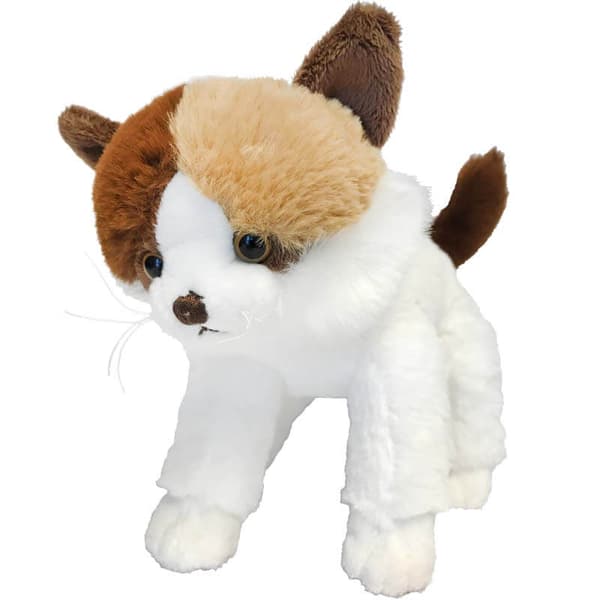 Katt Gosan, 24 cm