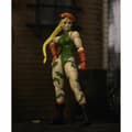 Pikkukuva 2 / 4: Figuuri, jossa liikkuvat raajat Street Fighter