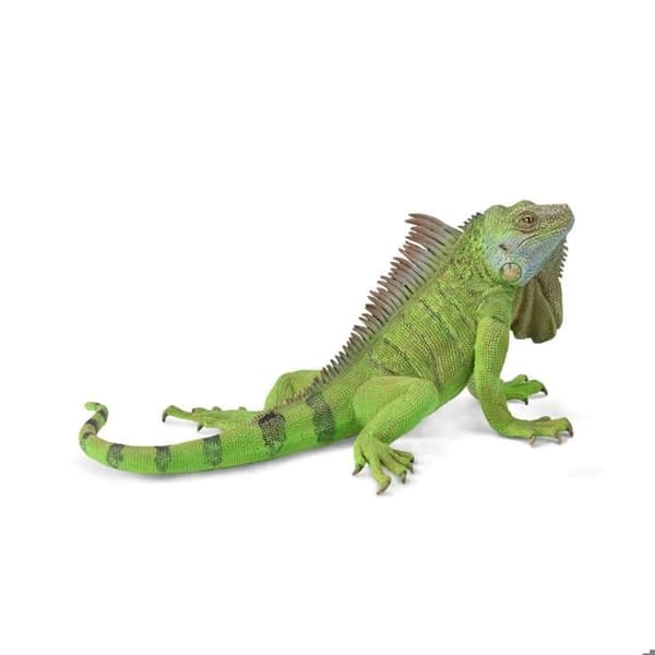 Figurine Djur i Det Vilda (XL): Grön Leguan