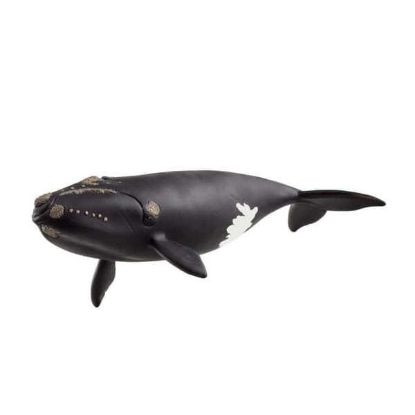 Schleich Nordatlantisk rethval - (14878)