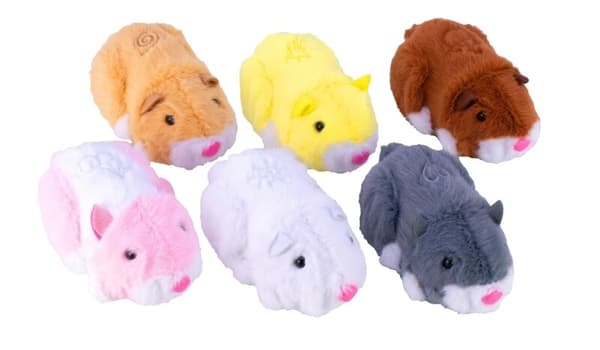 Zhuzhu City Hamster