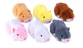 Miniatyrbild 8 av 8: Zhuzhu City Hamster