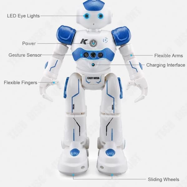 TD® Fjärrkontroll Intelligent programmering Blå robot Gest Induktionsdemonstration Pedagogisk leksaksrobot för barn