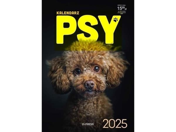Kalender 2025 A3 Vägghundar
