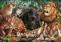 Miniatyrbilde 1 av 2: Clementoni Puzzle Compact Wild Cats 500 brikker (35584)