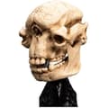 Miniatyrbild 2 av 2: Miniatyrstaty - WETA COLLECTIBLES - Grotttroll - 21 cm - Polystone - Härskarringen