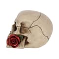 Miniatyrbild 4 av 6: Nemesis Now - Figurin Rose
