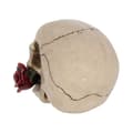 Miniatyrbild 5 av 6: Nemesis Now - Figurin Rose