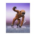 Miniatyrbild 4 av 4: Bandai Tamashii Nations - Godzilla X Kong: The New Empire - Pack 2 figurer S.H. Monster Arts Suko &amp; Mothra