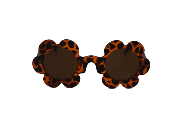 Bellis - leopard
