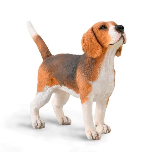 Figur - Collecta - Beagle Hund - Från 3 år