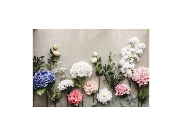 Kirsebærgren med blomst, 1 stk
