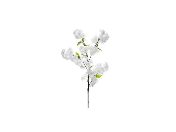 Kirsebærgren med blomst, 1 stk