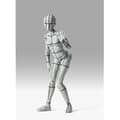 Miniatyrbild 2 av 2: Actionfigur - TAMASHII NATIONS - Body Chan - Sportutgåvan - Metallram - Grå färg