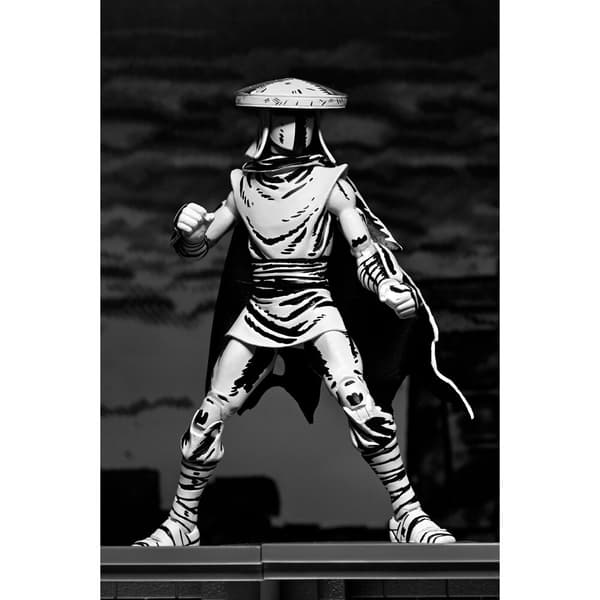 Ninja Turtles Teenage Mutant Elite Guard Black & White figure 18cm