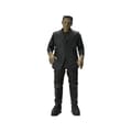 Miniatyrbild 1 av 4: Ultimate's Frankenstein Monster (färg) figur 18 cm - NECA - Ultimate Range - För vuxna
