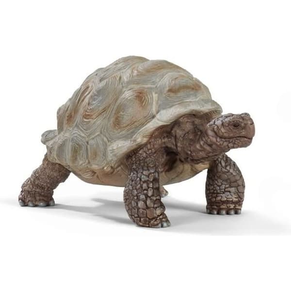 Giant Turtle Figurine - SCHLEICH - Wild Life - För barn från 3 år - 2 års garanti