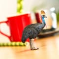 Miniatyrbild 5 av 5: Kasuarfigur med hjälm - SafariLtd - 225429