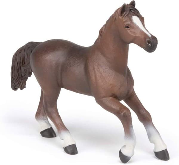 Anglo-Arab Mare Figurine - PAPO - HÄSTAR, FÖL OCH PONNYER - Interiör
