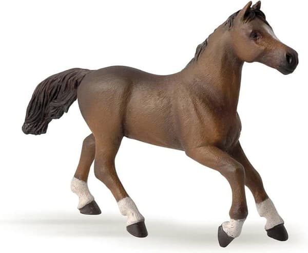 Anglo-Arab Mare Figurine - PAPO - HÄSTAR, FÖL OCH PONNYER - Interiör