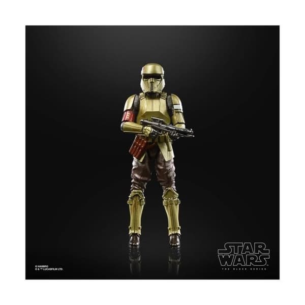 Hasbro - Star Wars The Mandalorian - Black Series Carbonized 2021 Shoretrooper Figur 15 cm