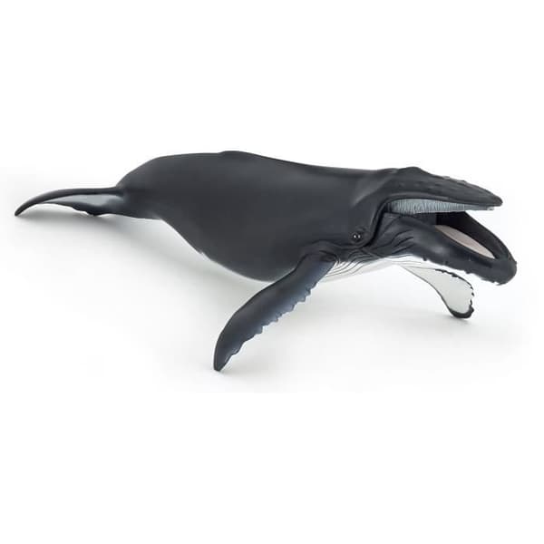 Knölvalsfigur - PAPO - MARINA UNIVERSUM - För barn - Inomhus