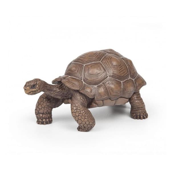 Galapagos sköldpaddsfigur - Papo - Wild Life Collection - Leksak för barn från 3 till 10 år gamla