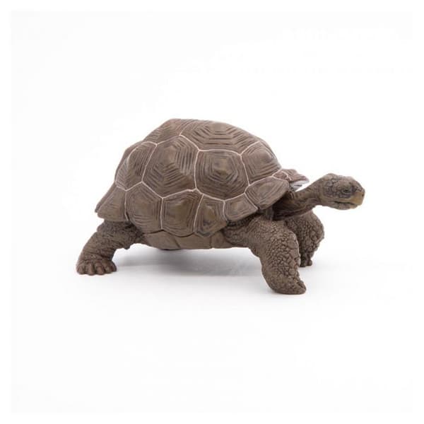 Galapagos sköldpaddsfigur - Papo - Wild Life Collection - Leksak för barn från 3 till 10 år gamla