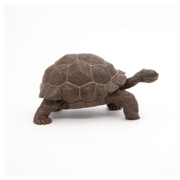 Galapagos sköldpaddsfigur - Papo - Wild Life Collection - Leksak för barn från 3 till 10 år gamla