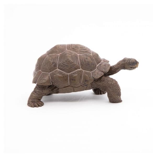 Galapagos sköldpaddsfigur - Papo - Wild Life Collection - Leksak för barn från 3 till 10 år gamla