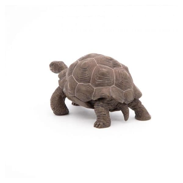Galapagos sköldpaddsfigur - Papo - Wild Life Collection - Leksak för barn från 3 till 10 år gamla
