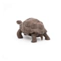 Miniatyrbild 2 av 6: Galapagos sköldpaddsfigur - Papo - Wild Life Collection - Leksak för barn från 3 till 10 år gamla
