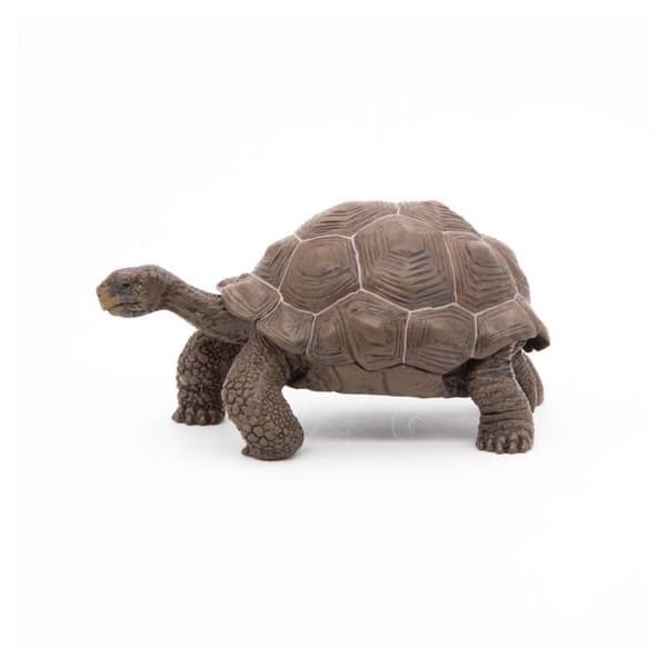 Galapagos sköldpaddsfigur - Papo - Wild Life Collection - Leksak för barn från 3 till 10 år gamla