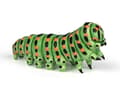 Miniatyrbild 2 av 2: Caterpillar Figurine - PAPO - Handmålad - Grön - Blandad - 3 år