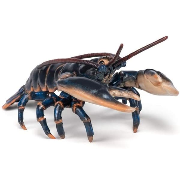Mat - Hummer - Blandat - Barn - Från 3 år - Svart
