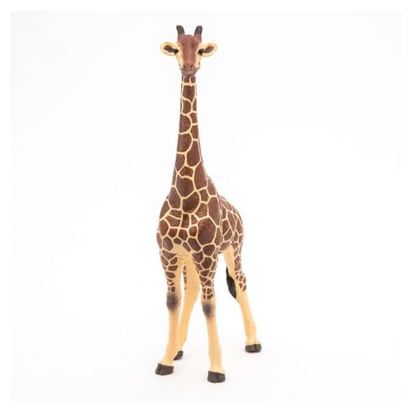 Manlig girafffigur - PAPO - LA VIE SAUVAGE - Inomhus - Blandat - 3 år