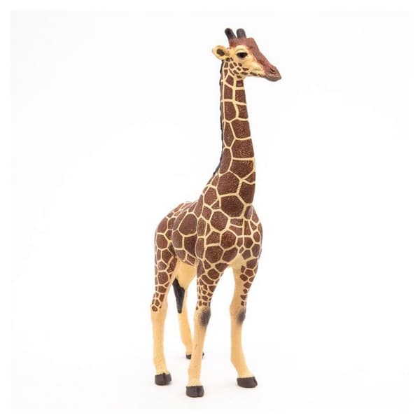 Manlig girafffigur - PAPO - LA VIE SAUVAGE - Inomhus - Blandat - 3 år