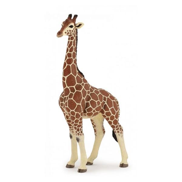 Manlig girafffigur - PAPO - LA VIE SAUVAGE - Inomhus - Blandat - 3 år