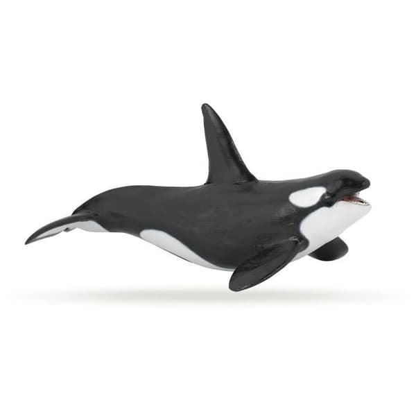 Orca Figurine - PAPO - THE MARINE UNIVERSE - Mixed - Interiör