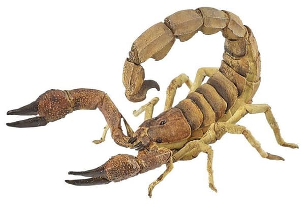 Papo - Scorpion Figurine