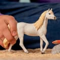Miniatyrbild 2 av 2: Figurine - SCHLEICH - Arabisk sto - Huvudfärg: Vit - Ålder: 5 år - Användning: Inomhus