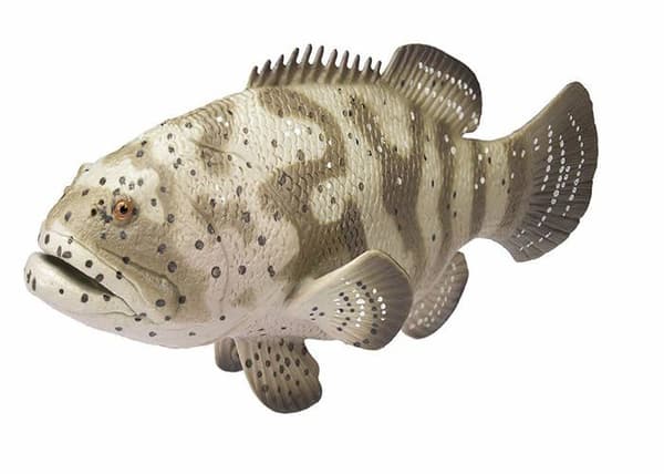 Safari - S265329 - ''Otroliga varelser Goliath Lanceolatus Miniature (Multicolor)
