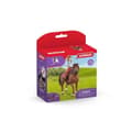 Miniatyrbild 2 av 4: Ryttarfiguren Hannah och Cayenne, från 5 år, Schleich 42539 Horse Club - box, 15,1 x 7,9 x 18 cm