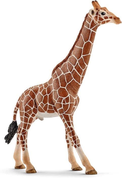 Manlig savanngirafffigur, SCHLEICH 14749 Vilda liv, från 3 år gammal